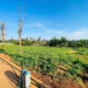 L040 dat mau than buon ma thuot (2)