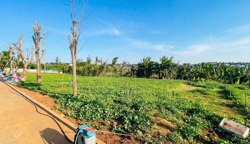 L040 dat mau than buon ma thuot (2)
