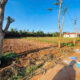L040 dat mau than buon ma thuot (4)