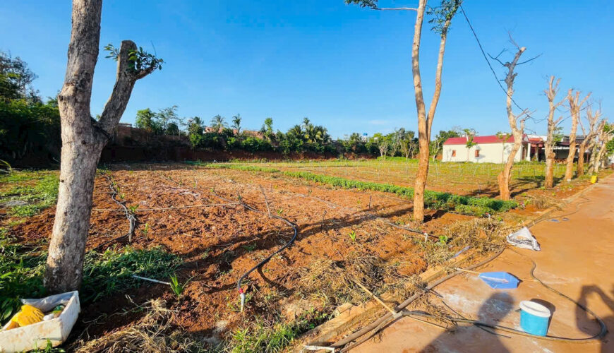 L040 dat mau than buon ma thuot (4)
