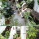 L073 nha Hoang Dieu buon ma thuot (2)