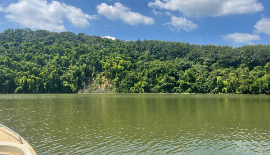 L090 20ha dat nong nghiep daknong (3)