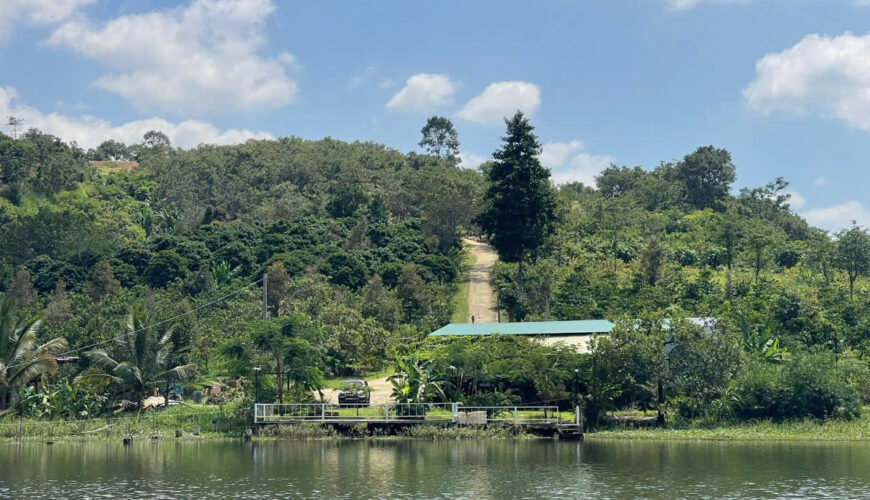 L090 20ha dat nong nghiep daknong (5)