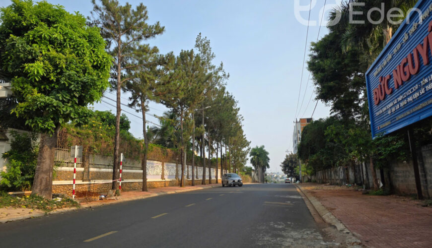 M024 Dat tue tinh buon ma thuot (2)